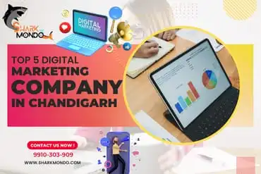 Digital Marketing Company in Chandigarh